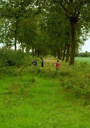 De Dierenvriendjes - buiten spelen