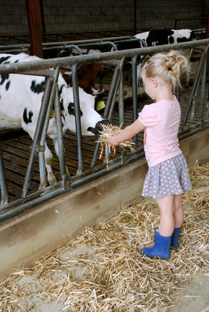 De Dierenvriendjes - kalfje voeren